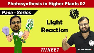 Photosynthesis in Higher Plants 02  Light Reaction I Class 11 l Pace Series [upl. by Nylannej]