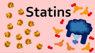 Statins and Cholesterol [upl. by Noislla]