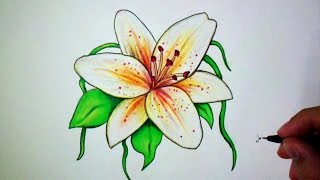 Comment dessiner une fleur de Lys Tutoriel [upl. by Veradis]