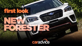 2019 Subaru Forester review First look [upl. by Ennoved]