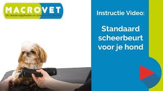 Video Instructie Standaard Scheerbeurt voor je hond [upl. by Obe]