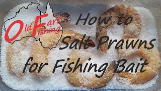 How to Salt Bait for Fishing  Prawns  Shrimps [upl. by Friedland]