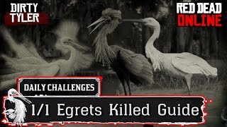 Egret Locations RDR2 Daily Challenges Hunting Guide Red Dead Online [upl. by Langston580]