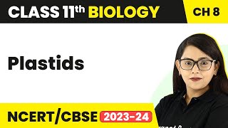 Plastids  Cell The Unit of Life  Class 11 Biology [upl. by Almeria]