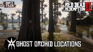 All Ghost Orchid Locations in Red Dead Redemption 2  RDR2 [upl. by Bradford]