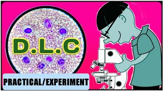 DLC Test  WBC Differential Count  Differential Leukocyte Count [upl. by Ttevi]