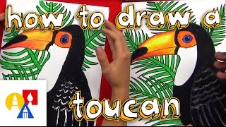 How To Draw A Realistic Toucan [upl. by Eicnan243]