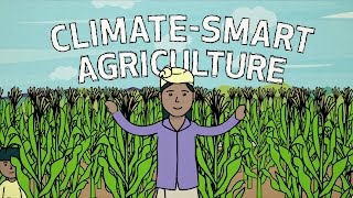 ClimateSmart Agriculture in Action [upl. by Gerdeen437]