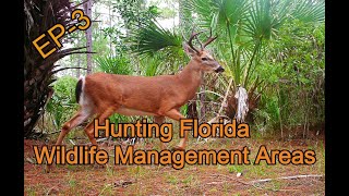 Hunting Florida Wildlife Management Areas Episode 3 [upl. by Bauer107]