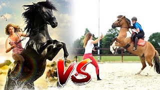 Paardenfilms 🐴🎥 VS De realiteit 😓 [upl. by Ahsilaf883]