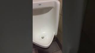 How to Unclog a urinal Step by Step Video  1 A [upl. by Yenot921]