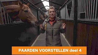 PAARDEN VOORSTELLEN deel 4  PaardenpraatTV [upl. by Eca936]