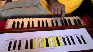 201 Harmonium Lessons for Beginners [upl. by Nwahsiek623]