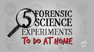 5 Simple CrimeSolving Science Experiments To Do At Home [upl. by Iarahs224]