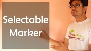 Selectable marker [upl. by Koran]