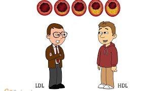 Home Cholesterol Test Total amp HDL Demonstration [upl. by Humo]