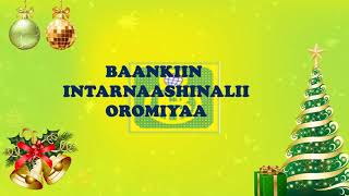 Home Oromia International Bank [upl. by Tirrag]