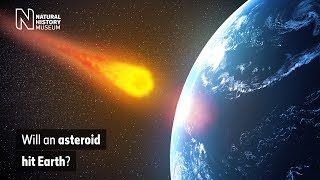 Will an asteroid hit Earth  Natural History Museum [upl. by Eneles]