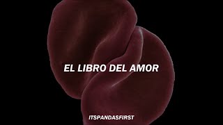 The Book Of Love  Peter Gabriel  subtitulado al español [upl. by Laersi]