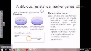 Marker genes and their role in plant biotechnology [upl. by Ahseena]