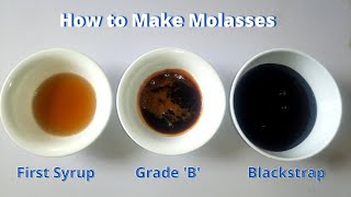 How to Make Molasses at Home  3 homemade grades of molasses [upl. by Nivan]