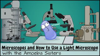 Microscopes and How to Use a Light Microscope [upl. by Anitsirc]