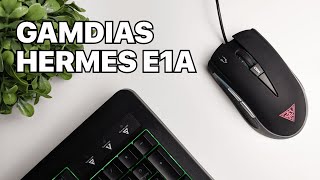 3in1 Combo Gamdias Hermes E1A Mechanical Keyboard  Zeus E2 Optical Mouse [upl. by Glialentn]