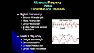 How Ultrasound Imaging Works [upl. by Mogerly]