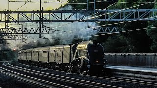 Steam Locomotives At Speed 3 [upl. by Aicilav]