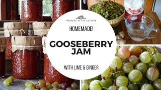 HOMEMADE GOOSEBERRY JAM  Delicious amp Flavourful [upl. by Anyale]