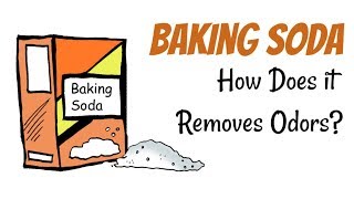 How To Remove Odors Using Baking Soda  DIY [upl. by Lertnek734]