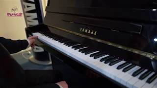 Yamaha B1 Upright Piano [upl. by Eleonora]