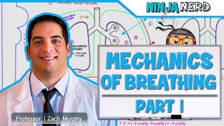 Respiratory  Mechanics of Breathing Pressure Changes  Part 1 [upl. by Diehl]