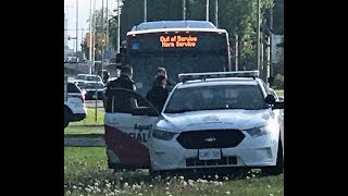 OC Transpo Bus Driver Assaulted [upl. by Frerichs]