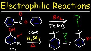 Electrophilic Aromatic Substitution Reactions Made Easy [upl. by Shafer382]