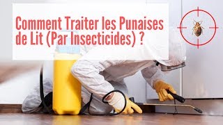 Comment Traiter les Punaises de Lit  Punaise de Lit Traitement [upl. by Airdnek400]