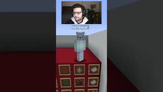 WALLIBEAR TAKES ON MOB ARENA gaming ⁠youtube funny minecraft memes tiktok shorts ytshorts [upl. by Lananna455]