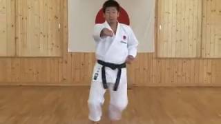 Chudan Jun Zuki JKA Shotokan Karate [upl. by Allemahs]