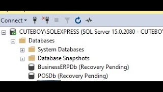 How to Fix database recovery pending [upl. by Nnylodnewg]