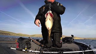 State Record Smallmouth Bass Caught on ARig in South Dakota [upl. by Hamil717]