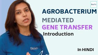 Agrobacterium Mediated Gene Transfer  Part 1  Introduction [upl. by Nairdna]