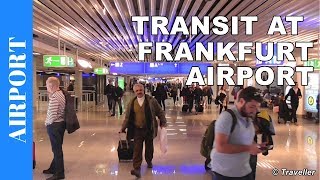 TRANSIT WALK AT FRANKFURT Airport FRA Terminal 1  Connection Flight Transfer Arriving amp Departing [upl. by Kurtzman]