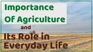 Why is Agriculture Important  Importance Of Agriculture and its Role in Everyday Life [upl. by Phira]