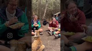 Guatemala Acatenango Volcano Hike [upl. by Rubin722]