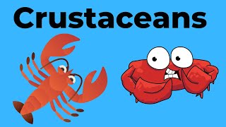 Characteristics of Crustaceans [upl. by Acceber]