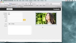 Filemaker Pro Basics for beginners [upl. by Yc]