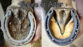 SATISFYING HORSE HOOF RESTORATION [upl. by Arinaj632]