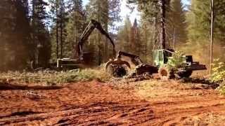 Timber Harvesting Part 1 logging [upl. by Jackie]