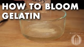 How to Bloom Gelatin  Tutorial Video [upl. by Ettenel969]