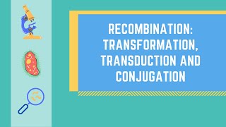 Bacterial Genetic Recombination Transformation Transduction and Conjugation made EASY [upl. by Atiuqram]